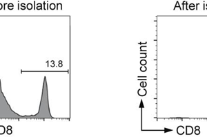 Eimmuna Mouse CD8+ T Cell Isolation Kit (negative selection)