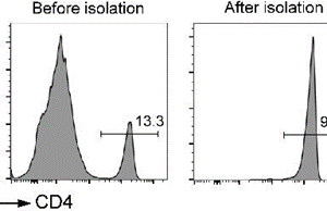 Eimmuna Mouse CD4+ Cell Isolation Kit (positive selection)