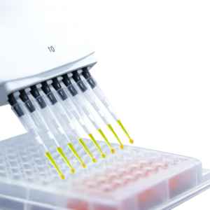 Eppendorf Plus-style Pipette Tips (Filter)